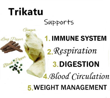 Himalaya Wellness Pure Herbs Trikatu Digestive Wellness - 60 Tablet